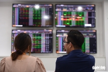 Chính phủ cần tăng cường quản lý, giám sát thị trường chứng khoán, bất động sản