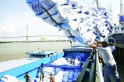 Xuất khẩu gạo: Cần chiến lược và giải pháp đồng bộ