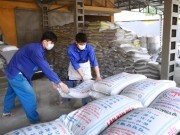 Kim ngạch nhập khẩu nông lâm thủy sản giảm nhẹ so với cùng kỳ