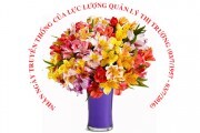 Thư chúc mừng của Bộ trưởng Trần Tuấn Anh nhân kỷ niệm 59 năm ngày truyền thống lực lượng Quản lý thị trường