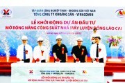 VIMICO: Vững vàng vượt khó