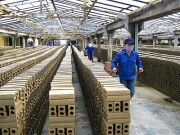 “Soi” tiềm năng doanh nghiệp vật liệu xây dựng sắp niêm yết