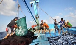 Vi phạm trong hoạt động thủy sản phạt đến 2 tỷ đồng