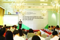 Cổ phần hóa, thoái vốn doanh nghiệp nhà nước: Cần tính kế thừa và phát triển ổn định