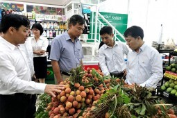 Khơi mở thị trường cho nông sản