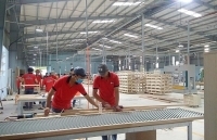 Xuất khẩu lâm sản 5 tháng đầu năm tăng gần 20%