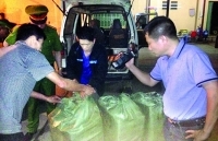 Mật phục cùng lực lượng chống buôn lậu