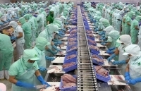 Chỉ thị một số nhiệm vụ, giải pháp phát triển công nghiệp chế biến nông lâm thủy sản