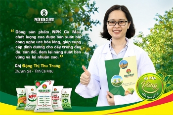 Giá phân bón: Góc nhìn từ quy luật thị trường và nỗ lực đồng hành người tiêu dùng