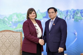 Thủ tướng Phạm Minh Chính tiếp Đại sứ Ai Cập