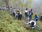 “Ảo thuật” ăn chặn tiền từ Dự án chống cháy rừng