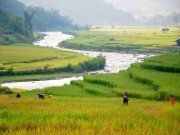 Giữ gìn và kế thừa bản sắc thương hiệu: Qua câu chuyện của Bordeaux và Cognac