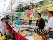 Phát triển sản xuất hàng hóa ở miền núi: Cần đầu tư mạnh cho doanh nghiệp