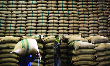 Xuất khẩu gạo tiếp tục phụ thuộc vào Trung Quốc