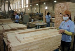 Đa dạng nguyên liệu gỗ cho xuất khẩu