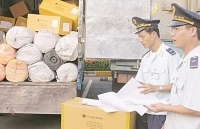 Cắt giảm điều kiện kinh doanh, kiểm tra chuyên ngành: Phải thực chất hơn