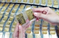 Giá vàng miếng SJC mất nửa triệu đồng một lượng