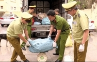 Xử lý nghiêm các hành vi vi phạm