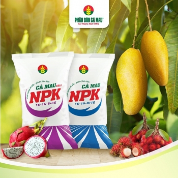 NPK Cà Mau, công thức ưu việt, bí kíp vàng cho vụ mùa trúng lớn
