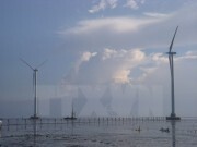 Trên 70.000 tỷ đồng đầu tư xây nhà máy điện gió tại Cà Mau