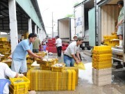 Kỳ IX: Tăng “sức” cho nguyên liệu thủy sản