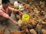 Kỳ II: Thay đổi tư duy để phát triển