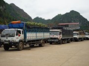 Đa dạng hóa đồng tiền thanh toán