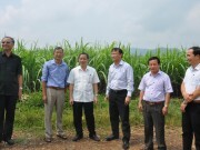 Sử dụng vật tư nông nghiệp tại tỉnh Hòa Bình: Hạn chế tối đa hàng kém chất lượng