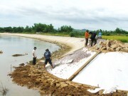 Quảng Ngãi: Gần 185 tỷ đồng xây dựng đê bao nhằm ứng phó biến đổi khí hậu