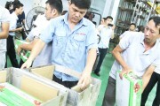 Chiếu xạ quả vải tại miền Bắc: Bước khởi đầu khả quan