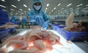 Hàng nội vẫn chật vật vào siêu thị ngoại