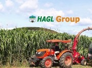 Hoàng Anh Gia Lai nợ hơn 33.000 tỷ đồng, mỗi ngày trả 5,6 tỷ đồng tiền lãi