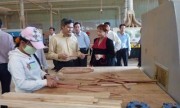 Nhiều doanh nghiệp \'bỗng dưng\' báo lỗ