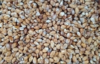 Lâm Đồng thông tin chính thức về 