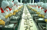 Xúc tiến thương mại sang thị trường Mỹ: Linh hoạt thích ứng