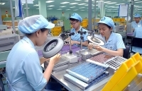 Giảm phụ thuộc vào khu vực FDI: Kinh tế trong nước phải là trụ cột