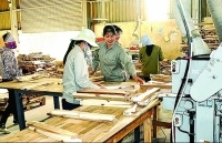 Ngăn chặn gian lận xuất xứ hàng hóa: Kiểm tra từ cơ sở sản xuất