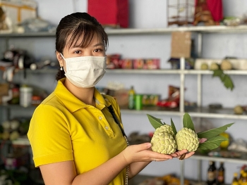 Vietnam Post triển khai gói cước