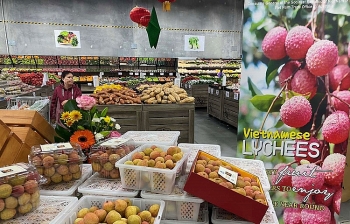 Nông sản Việt Nam xuất khẩu sang Australia tăng trưởng mạnh mẽ