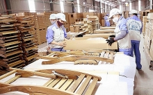 Xuất khẩu gỗ liệu có tiếp đà giảm?