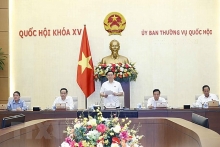 Ủy ban Thường vụ Quốc hội cho ý kiến về xử phạt hành vi cản trở hoạt động tố tụng