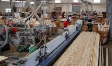 Thông tin việc Hoa Kỳ điều tra lẩn tránh phòng vệ thương mại với gỗ dán và tủ gỗ từ Việt Nam