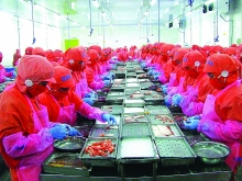 Nhiều cơ hội xuất khẩu sang thị trường Hàn Quốc