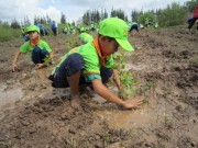 Bài 3: Phát huy nội lực, tranh thủ sự hỗ trợ