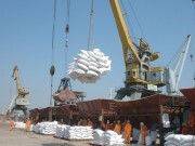 Thêm cơ hội cho gạo Việt Nam