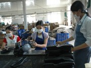 Đầu tư nguyên phụ liệu da giày: Tồn tại nhiều bất cập