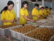 Đặc sản & đặc ân