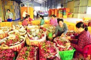 Bảo đảm mục tiêu xuất khẩu: Bài toán dư địa tăng trưởng