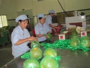 Xuất khẩu rau quả sang Trung Quốc tăng mạnh