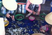 Nhức nhối nạn bơm tạp chất vào tôm